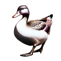 20241002_000205-removebg-preview.png