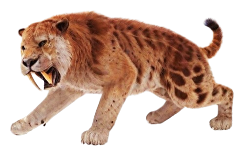 20241117_115755-removebg-preview.png