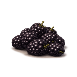 Brombeeren.png