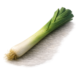 Porree.png