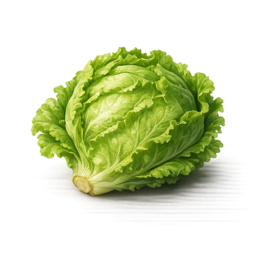 Salat.png
